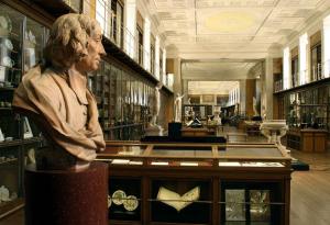 BM;_'MF'_RM1_-_The_King's_Library,_Enlightenment_1_'Discovering_the_world_in_the_18th_Century_-_View_South